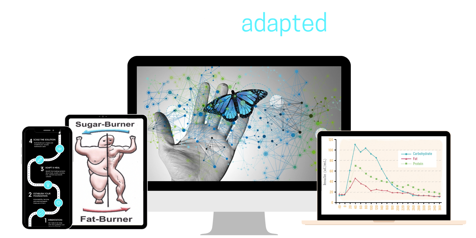 Ketones and Metabolic Health