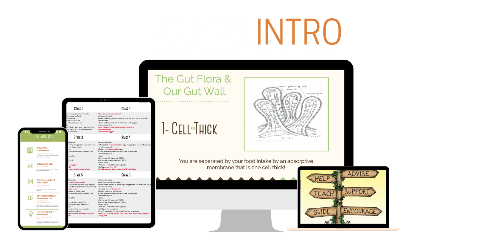 A Healthy Microbiome Will Set You Free