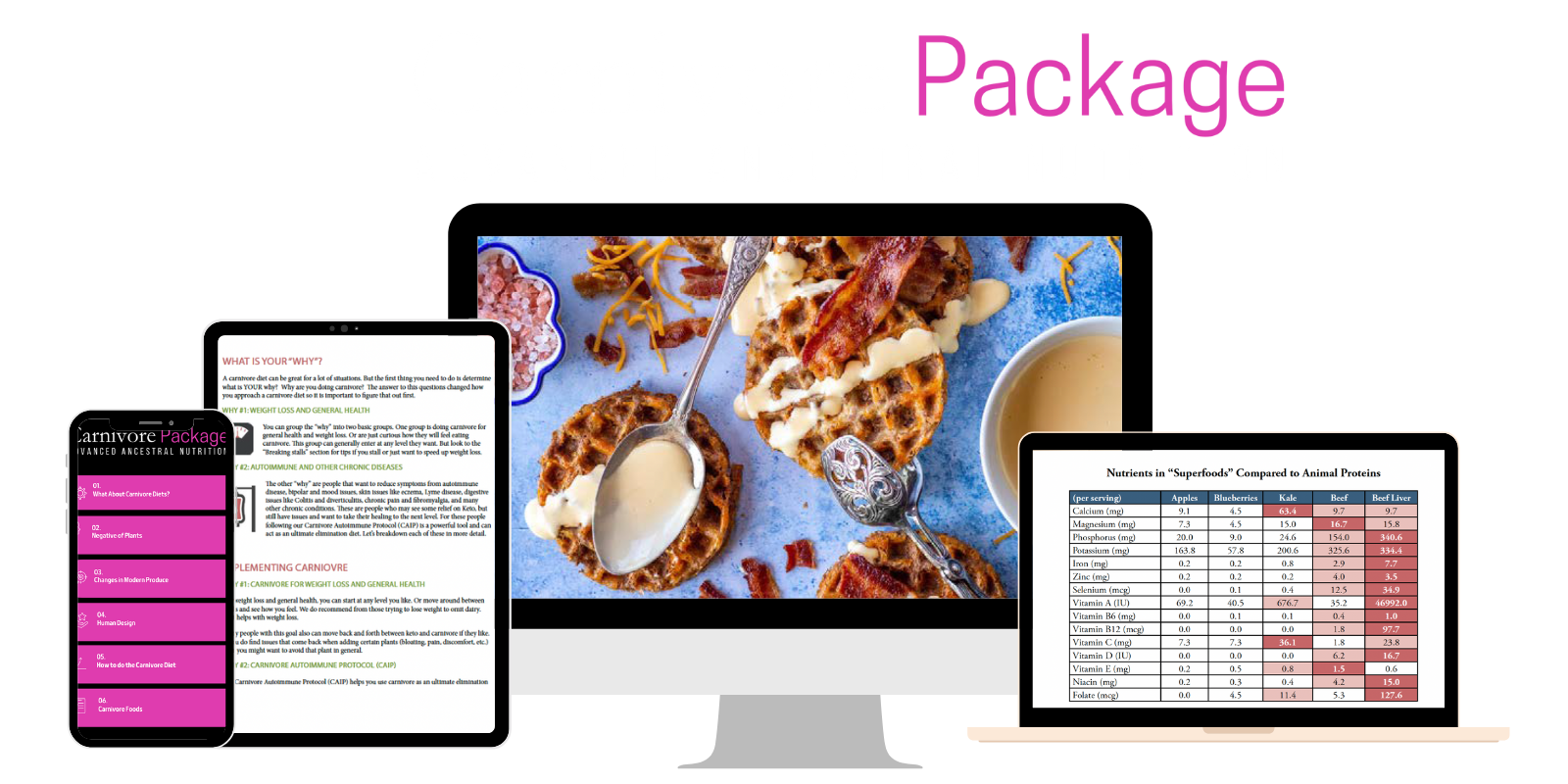 Carnivore Mentorship