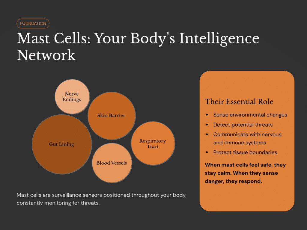Mast Cell Activation Syndrome
