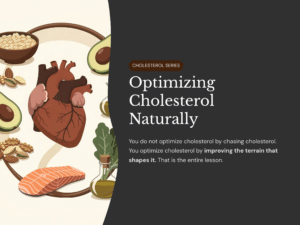 Optimizing Cholesterol Naturally
