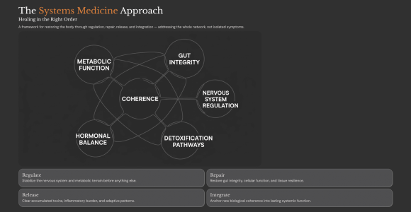 The-Systems-Medicine-Approach