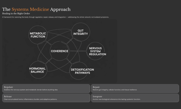 The-Systems-Medicine-Approach