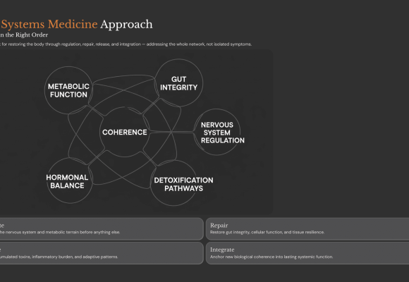 The-Systems-Medicine-Approach