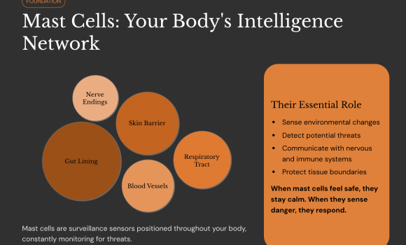 Mast Cell Activation Syndrome