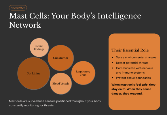 Mast Cell Activation Syndrome