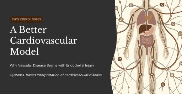 What causes heart disease?
