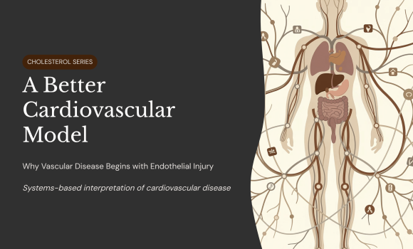 What causes heart disease?