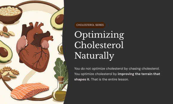 Optimizing Cholesterol Naturally