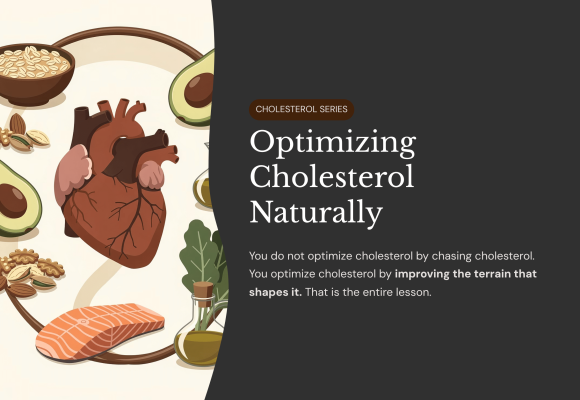 Optimizing Cholesterol Naturally
